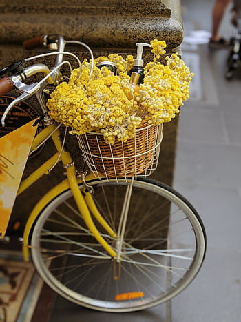 A vintage yellow bicycle adorned with a basket of vibrant yellow flowers on a Melbourne street. HD phone wallpaper