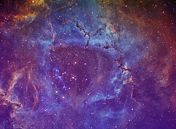 NNGC 2237(Rosetta nebula), space, view, colorful, sky HD wallpaper
