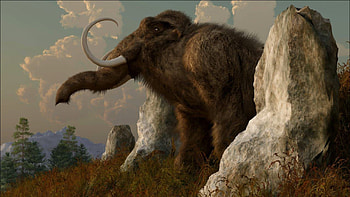 Mammoth , Mammoth backgrounds, Top , Ancient animal HD wallpaper
