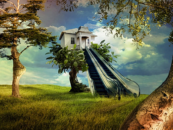 Going Up, abstract, clouds, trees, sky, nature, grass HD wallpaper