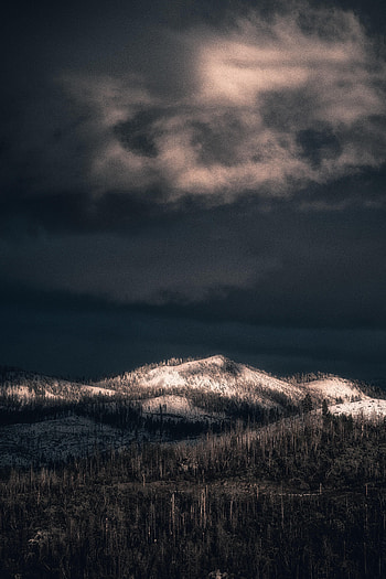 Nature, Trees, Mountains, Snow, Vertex, Top, Forest, Snow Covered, Snowbound HD phone wallpaper