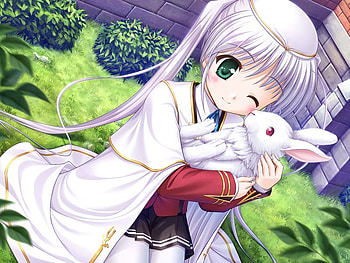 Shiro Togi, white, anime princess girl, fortune arterial, anime girl, bunny, anime, princess, rabbit HD wallpaper