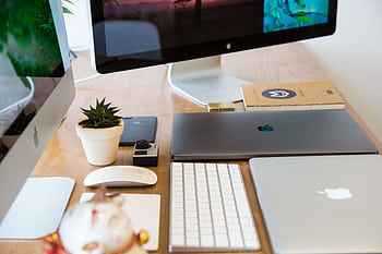 A clean and organized office workspace featuring Apple devices including iMac and MacBook with a plant for decor. HD wallpaper