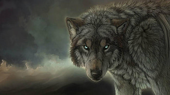 Wolves Wolf Space Bigest ... HD wallpaper