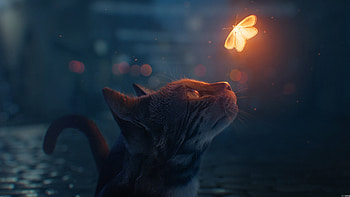 Cat, Butterfly encounter, Digital art wonder, Mesmerizing resolution HD wallpaper