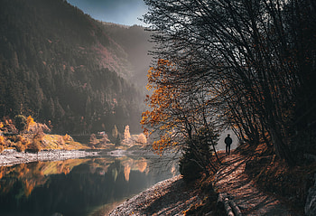 Rivers, Trees, Autumn, Miscellanea, Miscellaneous, Human, Person, Loneliness, dom HD wallpaper