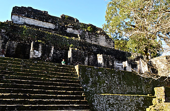 Greatest ruin, Tikal National Park, Mayan marvel, Guatemala's gem HD wallpaper