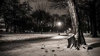 winter in a nyc park at night, winter, black and white, lamp posts, trees, road, park HD wallpaper