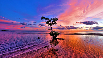 Landscape, Sunset HD wallpaper