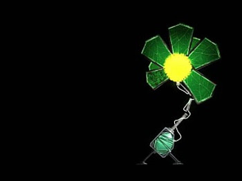 Green Walking Flower, green flower, fantasy, body, legs HD wallpaper