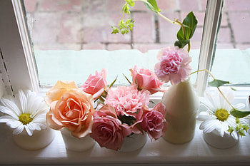 FLOWERS FOR FRIENDS AT D N, gorgeous, beautiful, vases, lovely HD wallpaper