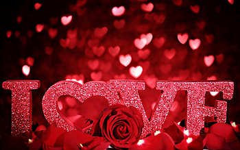 Red Rose Flowers Backgrounds HD wallpaper