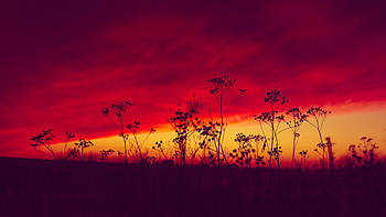 Poland Sunset , poland, sunset, evening, nature HD wallpaper