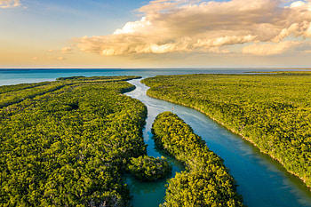 Everglades National Park, Location answer, Florida's treasure, Discover now HD wallpaper