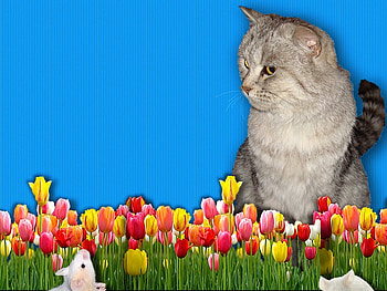 Kitten and flowers, kitten, tulip, mouse, flower, cat HD wallpaper