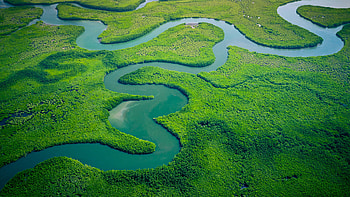 Gambia Travels, One Planet Network, Sustainability goals, Gambia's commitment HD wallpaper