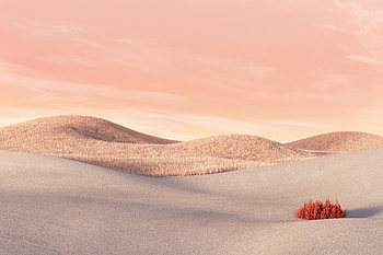 Surface Laptop Go Sandstone, surface, microsoft, windows, computer HD wallpaper