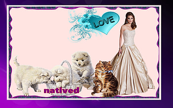 adorable animales, chica, gato perro, perros, gatos HD wallpaper