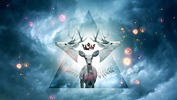 Animals, Landscape, Universe, Stars, Deers HD wallpaper