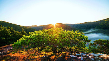 Central Palatinate Forest, Germany, tree, sunrise, hills, landscape, sky, sun, rocks HD wallpaper