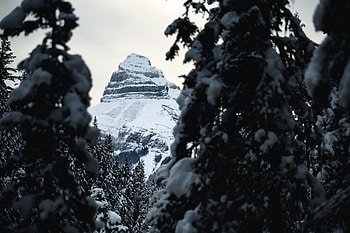 Landscape, Nature, Trees, Snow, Mountain, Vertex, Top HD wallpaper