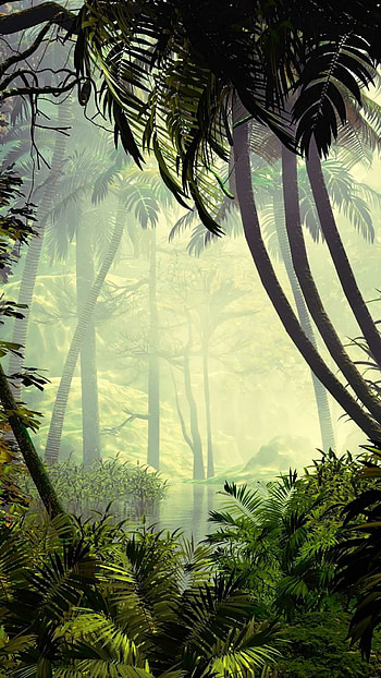 jungle delight, immersion, Nature's tranquility, Immersive beauty HD phone wallpaper