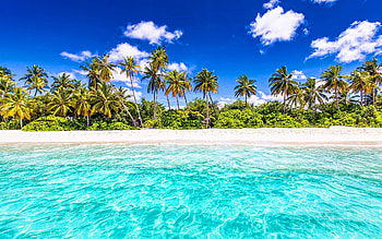 summer travel, sea, paradise, palm trees, beautiful nature, travel concepts, Maldives HD wallpaper