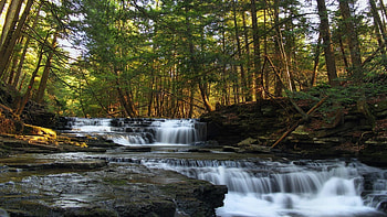 Trough Tag - Park Springs Spring Sky Rock Forest Pennsylvania Nature Waterfall Sunshine State Trough Salt HD wallpaper