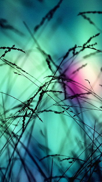 Trending, graphy HD phone wallpaper