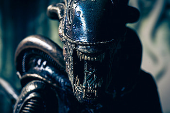 Xenomorph toys, Alien movie , Intriguing design, Fearsome creature HD wallpaper
