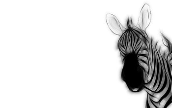 Zebra, Vector, Stripes, Ears, Strips HD wallpaper