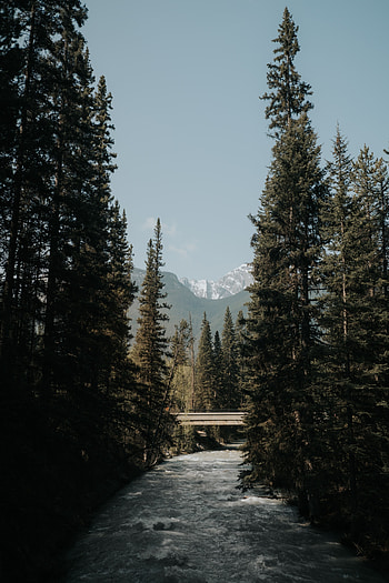 Nature, Rivers, Trees, Mountains, Bridge HD phone wallpaper