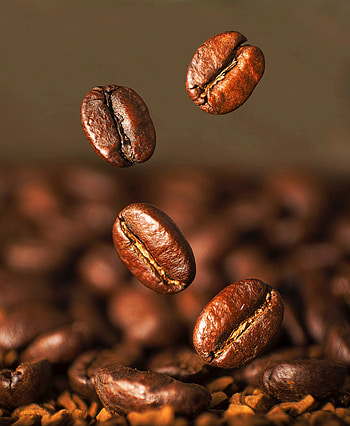 Beans, roasted, portrait, close up HD phone wallpaper