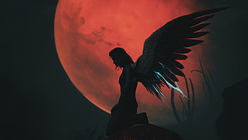 Warframe Eros Wings, warframe, games, 2021-games HD wallpaper