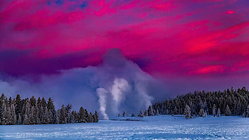Winter Dawn in Yellowstone, california, snow, trees, landscape, usa, sunset, evening HD wallpaper
