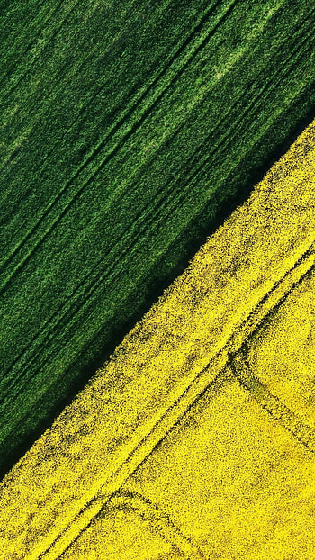 Aerial farm , Bird's eye view, Farmland scenery, Countryside HD phone wallpaper