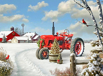 Home for the Holidays, winter, holidays, New Year, attractions in dreams, love four seasons, Christmas, snow, farms, xmas and new year, cardinals, christmas tree HD wallpaper