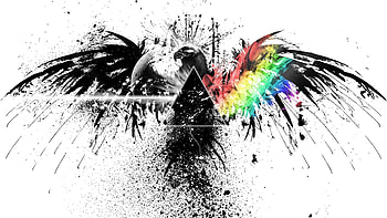 pink floyd black and white rainbow eagle graffiti spray HD wallpaper