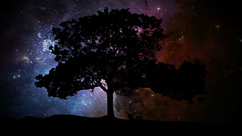  HD wallpaper
