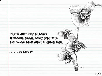 Doodle of Life, doodle, notebook, abstract, flower HD wallpaper