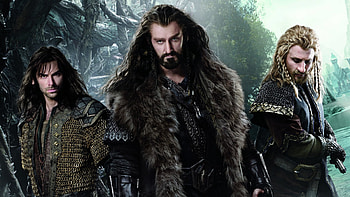 Desolation of Smaug, background , Hobbit HD wallpaper