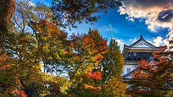 Japan castle , Majestic castles, Stunning visuals, Architectural beauty HD wallpaper