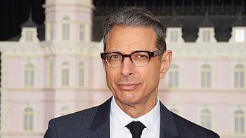 Jeff Goldblum, Celebrity HD wallpaper