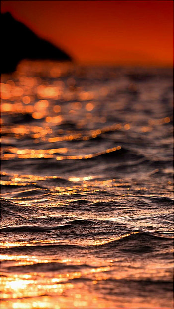 Tropical paradise, Exotic wildlife, Stunning beach views, Captivating summer beauty HD phone wallpaper