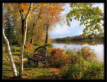 Peaceful Setting, peaceful, sitting, forest, lake HD wallpaper