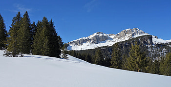 Spring in the Mountains, trees, mountains, spring, snow HD wallpaper