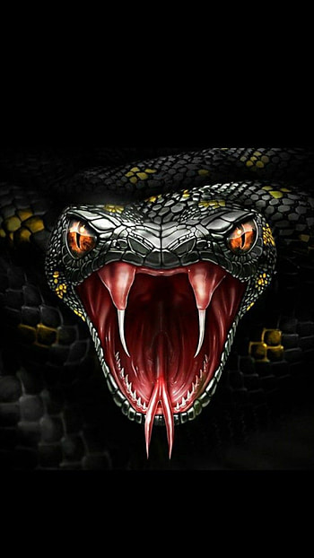 Angry snake, eye, poison, animal HD phone wallpaper