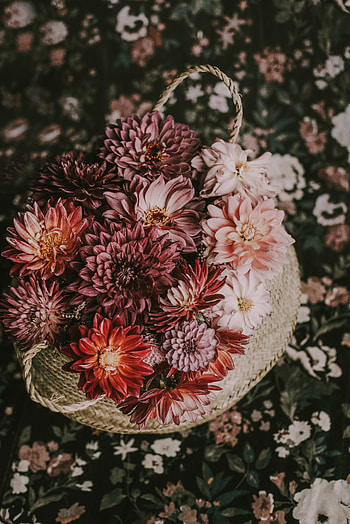 Flower basket, blossom HD phone wallpaper