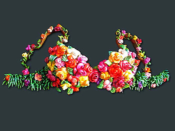 Bra Of Flowers, exotic, differentkinds, cool, flowers, bra HD wallpaper