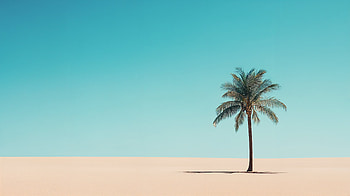 Minimalist Holiday: Serenity, minimalist holiday, palm tree, beach, desert, sky HD wallpaper